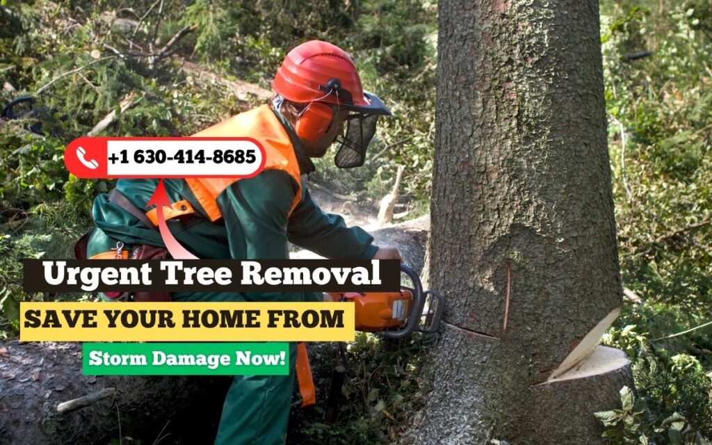 emergency tree removal near me